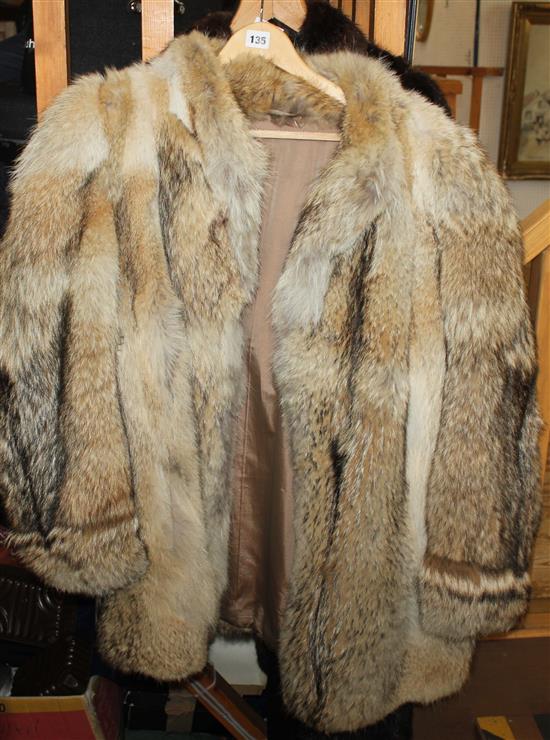 Wolf fur coat & musquash fur coat